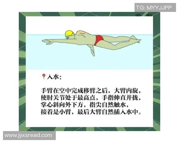 提升自由泳效率与技巧的科学方法和姿势优化策略